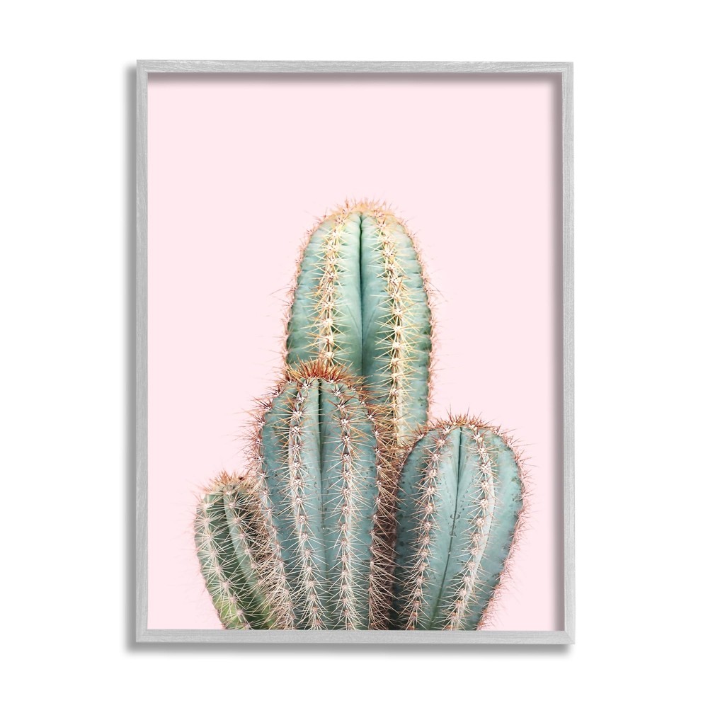 Blush Cactus Vegetation Gray Framed Giclee Art Design by Sisi and Seb
