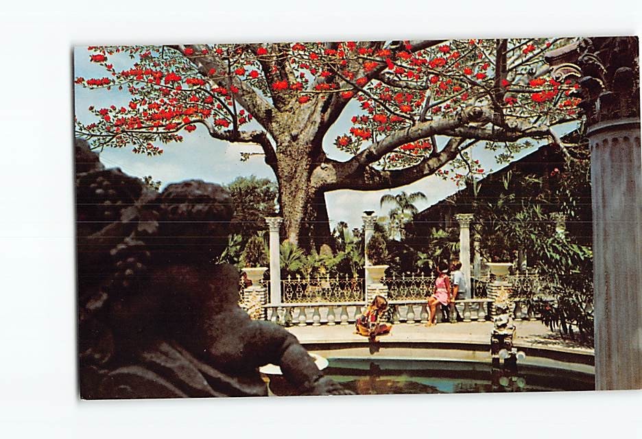 Postcard Kapok Tree Inn North Haines Road Clearwater Florida USA North America