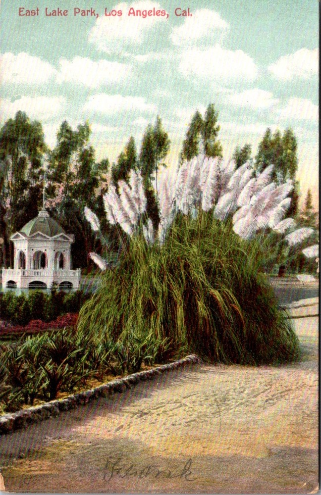 Los Angeles CA-California, Palms At Eastlake Park, Antique, Vintage Postcard