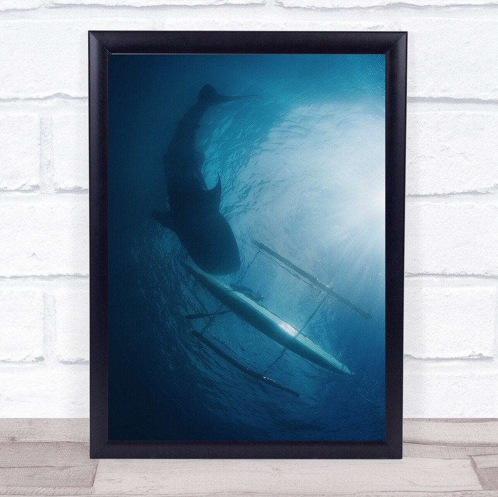 Unity Shark Boat Sea Philippines Underwater Blue Wildlife Wild Nature Art Print