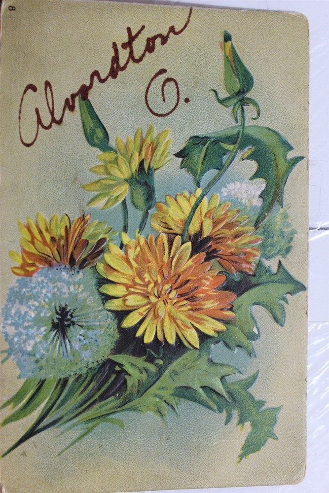 Ohio OH Alvordton Postcard Old Vintage Card View Standard Souvenir Postal Post