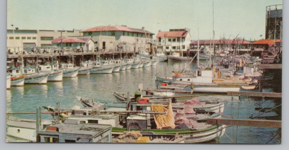 Transportation~Fishing Boats Fishermans Wharf San Francisco~Vintage Postcard