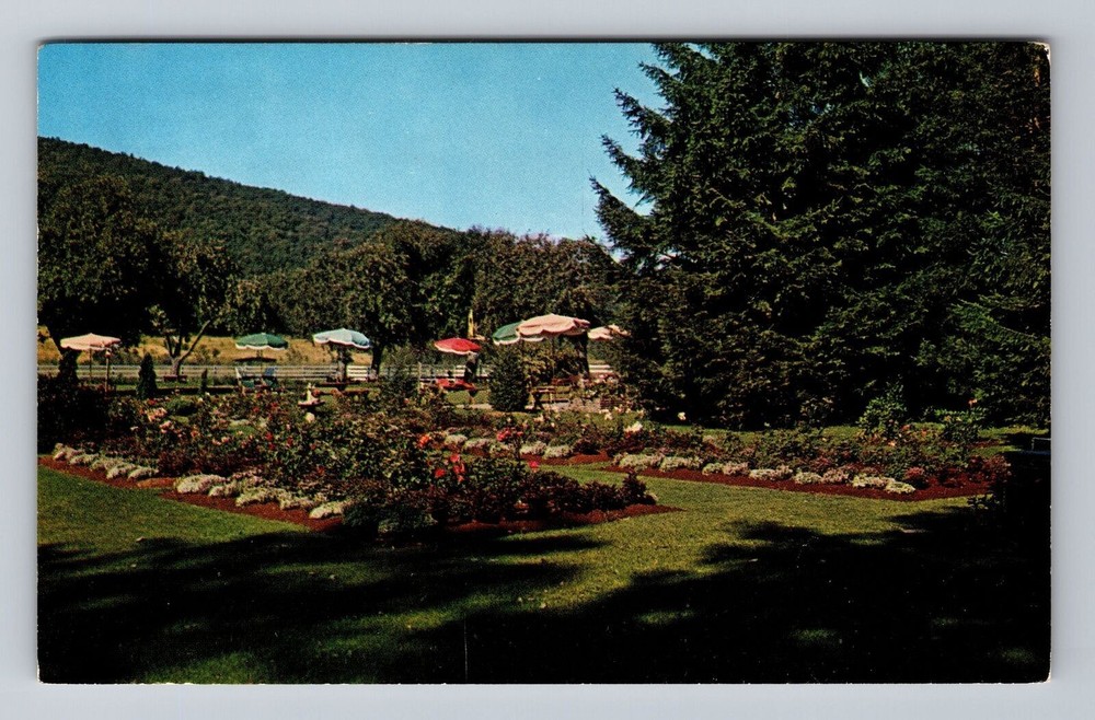 Allegany State Park NY-New York Dach's Red House Inn Vintage Postcard