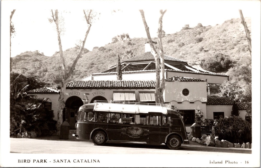 Bird Park Santa Catalina Island Tour Bus Real Photo Postcard Island Photo