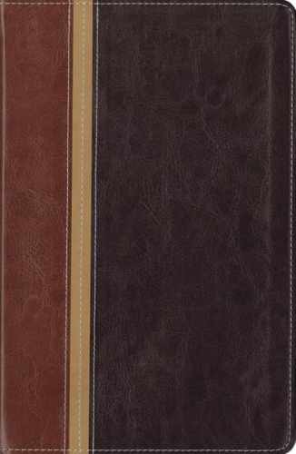 New International Version/ The Message - Paperback, by Anonymous - Acceptable