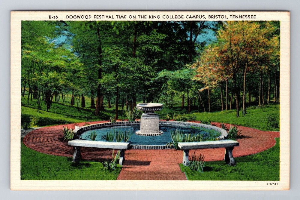 Bristol TN-Tennessee, King College Campus, Antique Vintage Souvenir Postcard