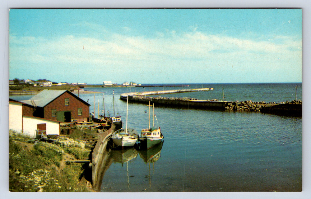 Vintage Postcard La Gaspesie Grande Riviere Quebec Canada