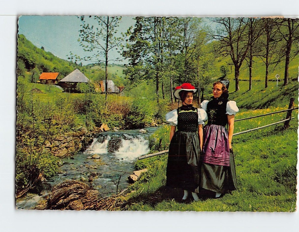 Postcard Im Schwarzwald Germany
