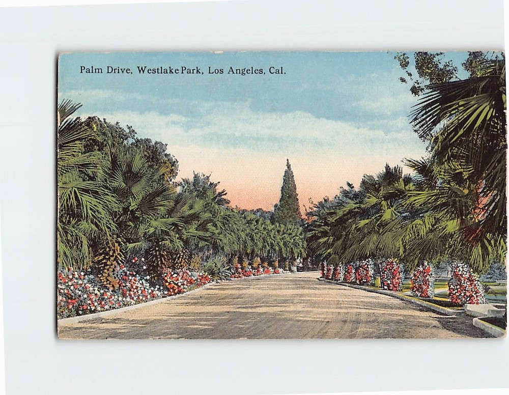 Postcard Palm Drive Westlake Park Los Angeles California USA