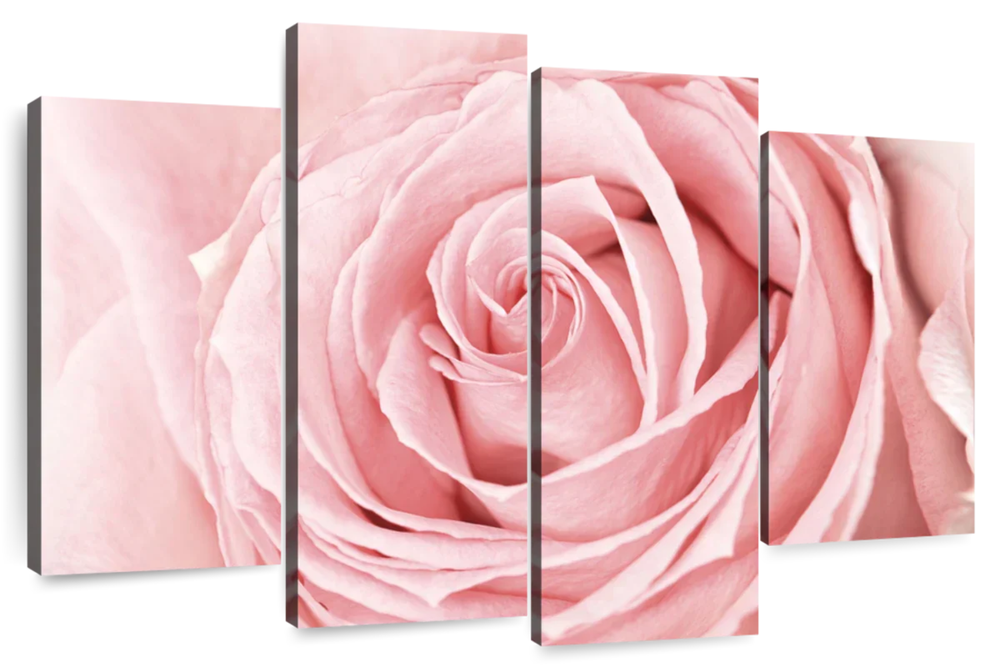 Fresh Pink Rose Wall Art