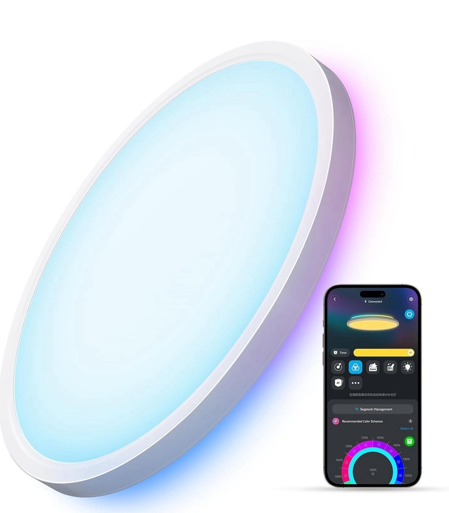 Govee Smart Ceiling Light, RGBIC LED Ceiling Light Fixture, 2400LM Flush Mount