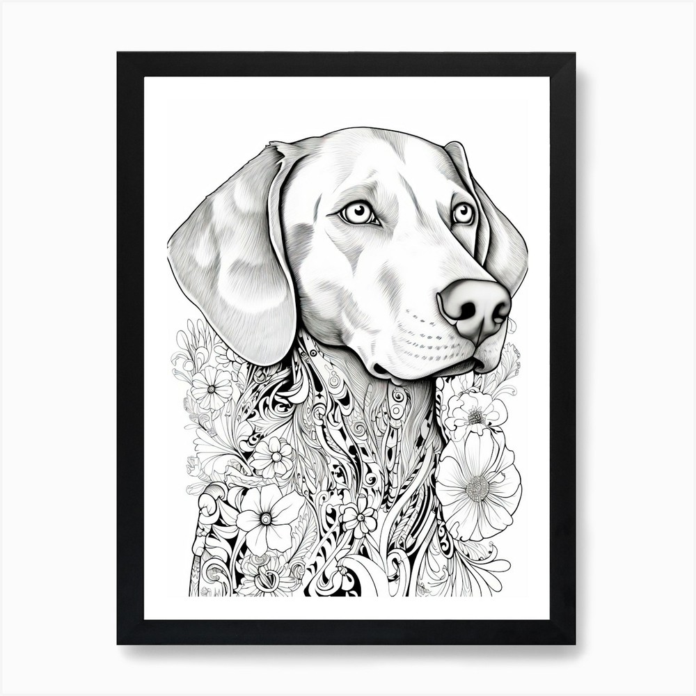 Weimaraner Dog Line Drawing Framed Wall Art Poster Canvas Print