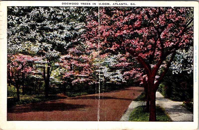 Postcard ROAD SCENE Atlanta Georgia GA m/09 AO2587