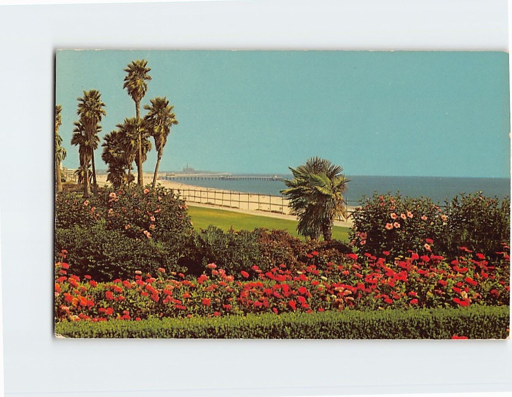 Postcard Long Beach California USA