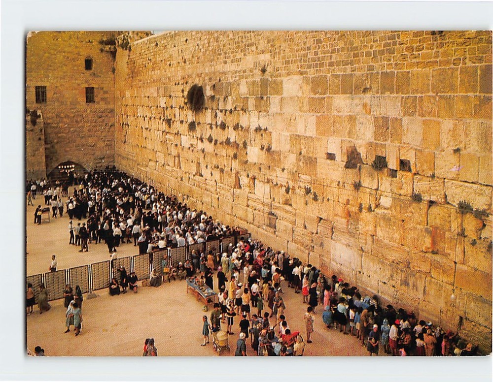 Postcard The Western Wall Jerusalem Israel