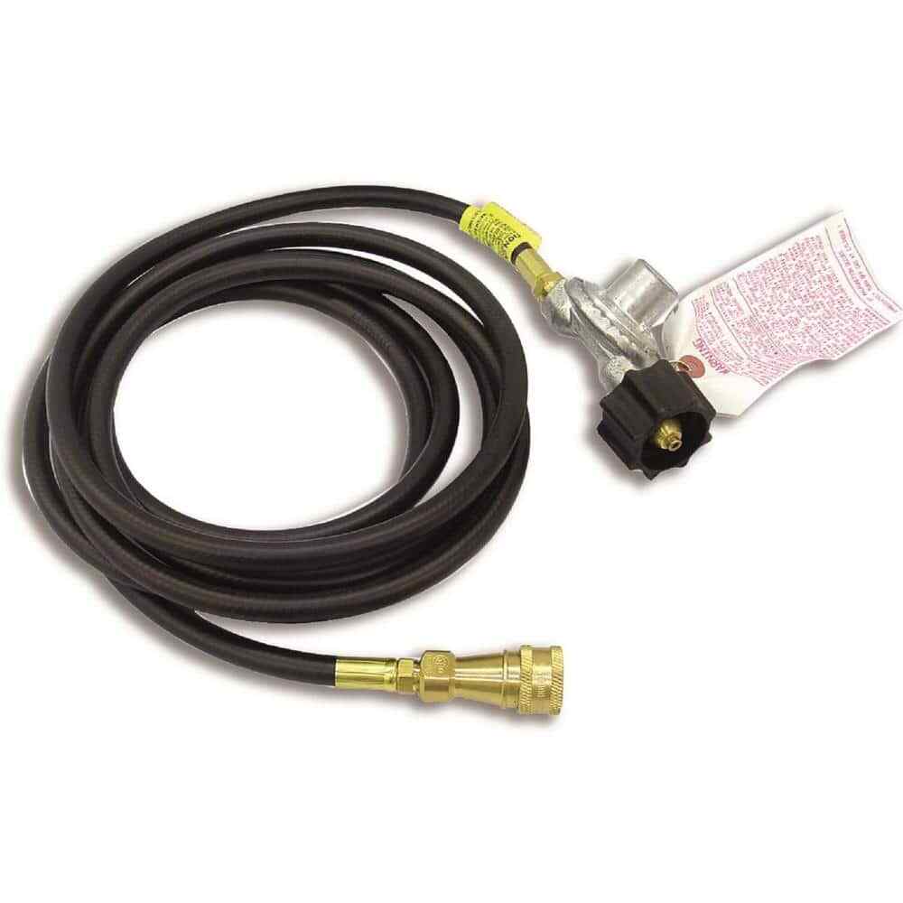 Big Buddy 12 ft. L Hose with Regulator
