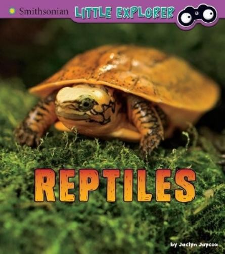 Jaclyn Jaycox Little Zoologist Reptiles a 4D Book (Paperback)Another great item from Rarewaves USA | Free delivery!