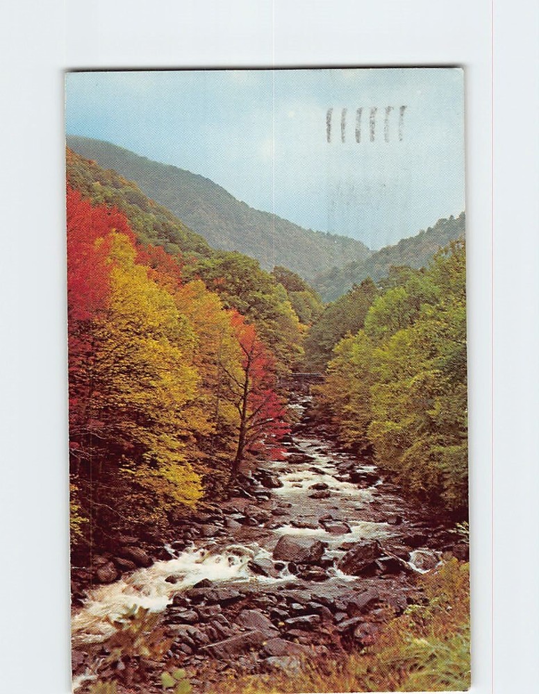 Postcard Autumn Scene Little Pigeon River Great Smoky Mountains National Park TN