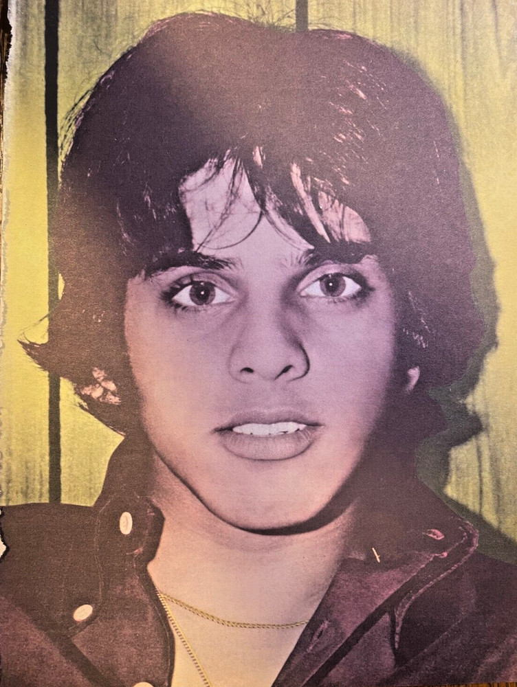1970 Vintage Illustration Actor Sajid Khan