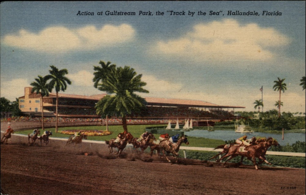 Gulfstream Park Hallandale Florida Race Track vintage postcard q176