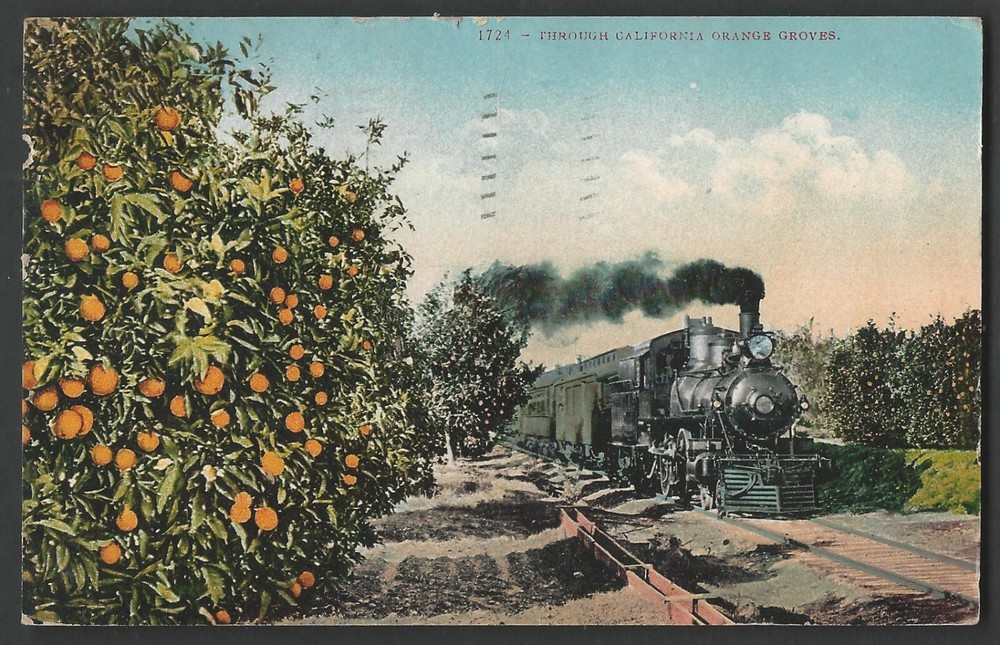 RAILROAD PASSING THRU CALIFORNIA ORANGE GROVE 1910 Divided Back Postcard