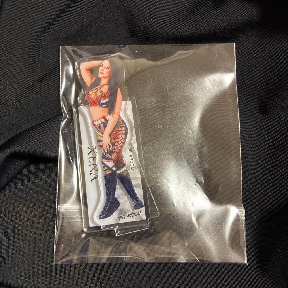 Stardom Gina Acrylic Stand Ichiban Kuji Japan ProWrestling Used Japan