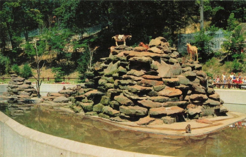 Monkey Island - Goats - John Ball Park - Grand Rapids Michigan MI - Postcard