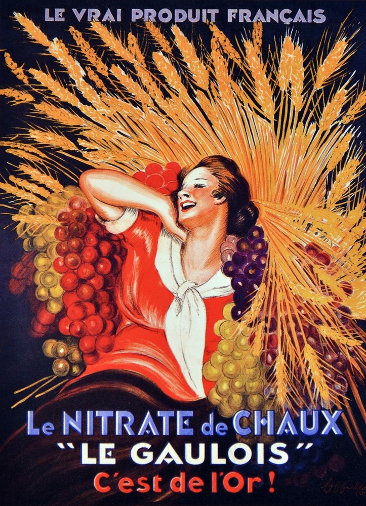 Le Nitrarte de Chaux Le Gaulois Decorative Poster. Home Graphic Art Design 3851