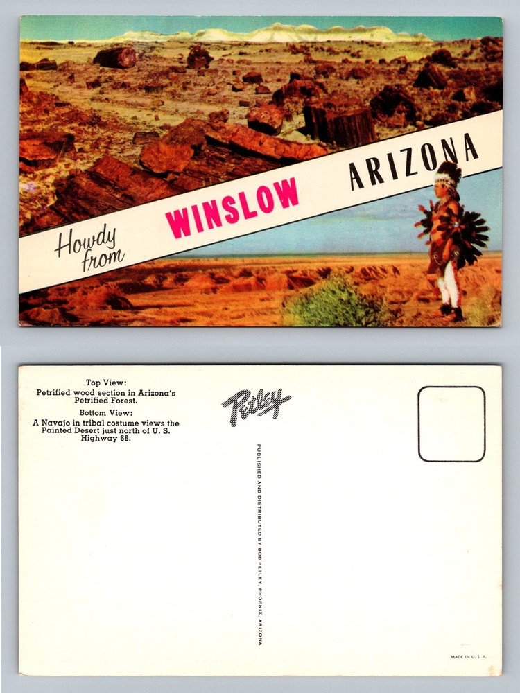 Winslow, AZ-Arizona, Howdy From Navajo Painted Desert Petrified Vintage Postcard