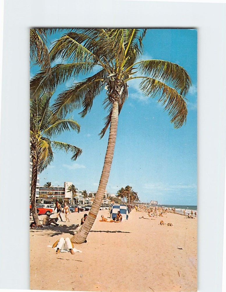 Postcard Beach Scene Florida USA