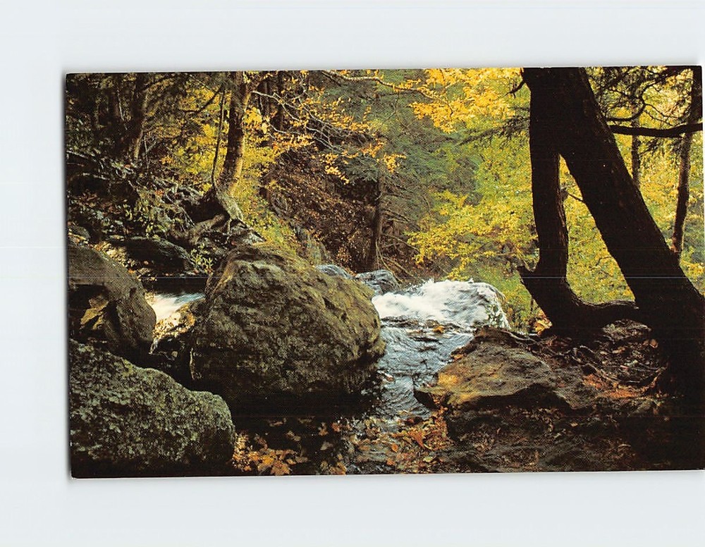 Postcard Brink of Lewis Falls Shenandoah National Park Virginia USA