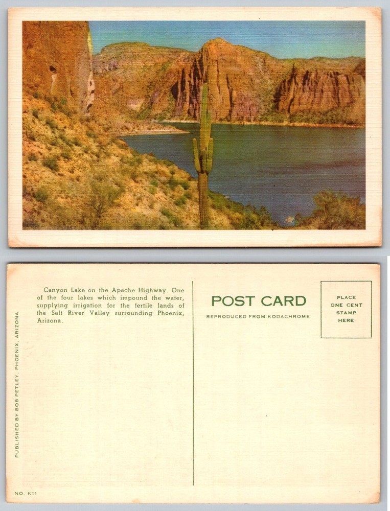 Canyon Lake Arizona Postcard Apache Highway Saguaro Cactus Chrome 1950s