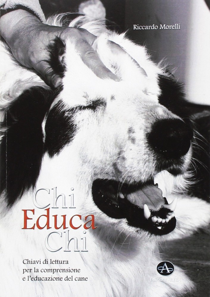 Riccardo Morell Chi educa chi. Chiavi di lettura per la comprensione (Paperback)Another great item from Rarewaves USA | Free delivery!