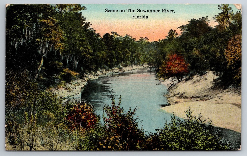 Vintage Postcard FL Scene on the Suwannee River c1914 Divided Back