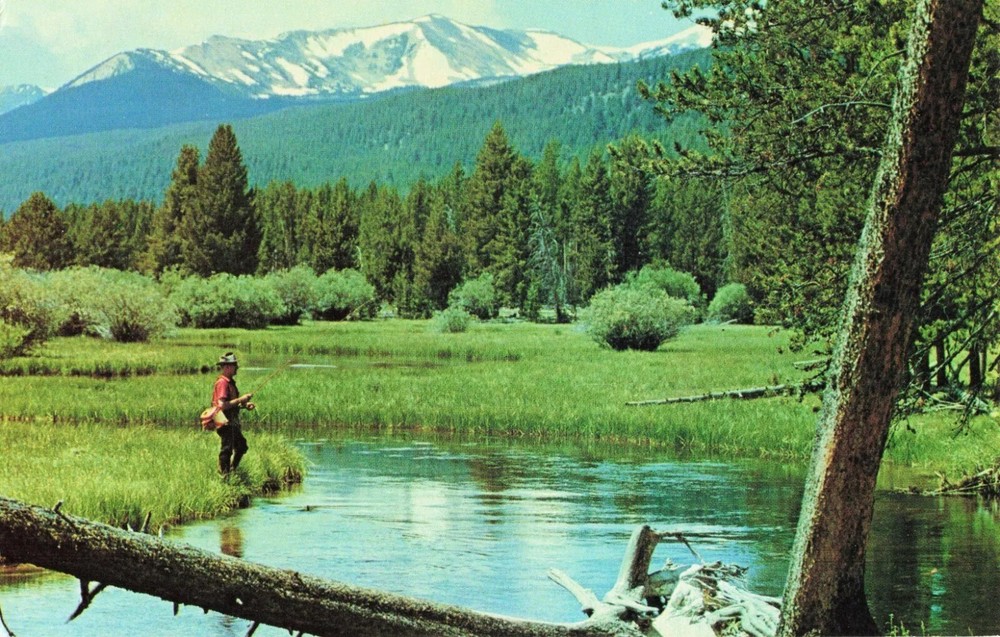 Man Fishing on Miner's Creek near Jackson Montana MT - Postcard