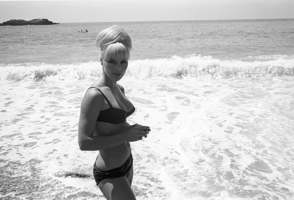 Elke Sommer In The Beach 8x10 Picture Celebrity Print