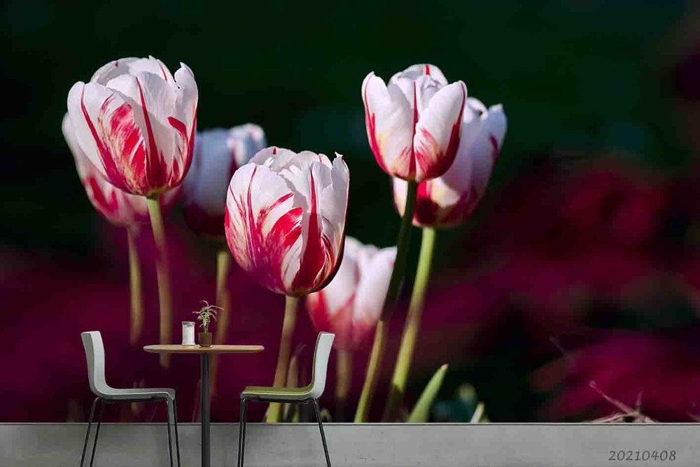 3D Tulip Plants Close-up Wall Murals Wallpaper Murals Wall Sticker 3