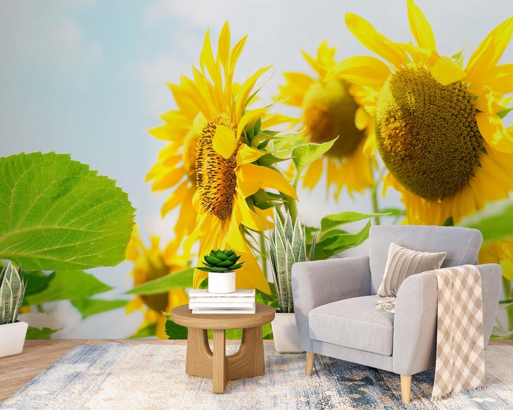 3D Sunflowers Plants Close-up Wall Murals Wallpaper Murals Wall Sticker