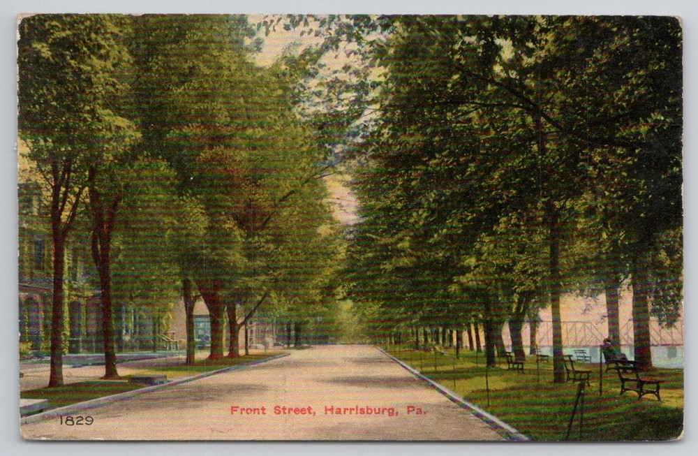 Front Street Harrisburg PA 1911 Postcard Tree Lined Avenue Scenic View