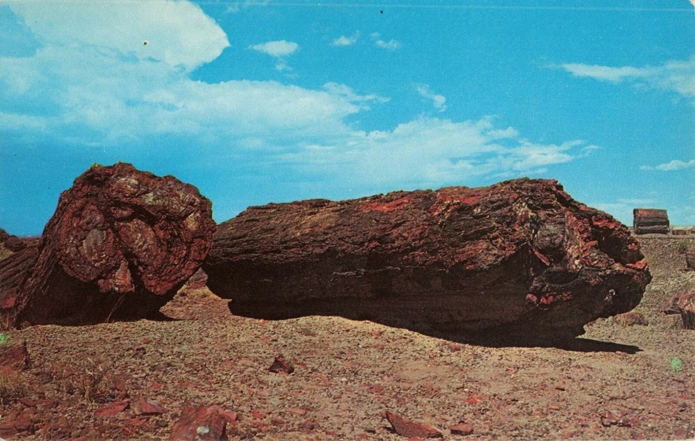 Petrified Forest National Park - Northern Arizona AZ - Postcard