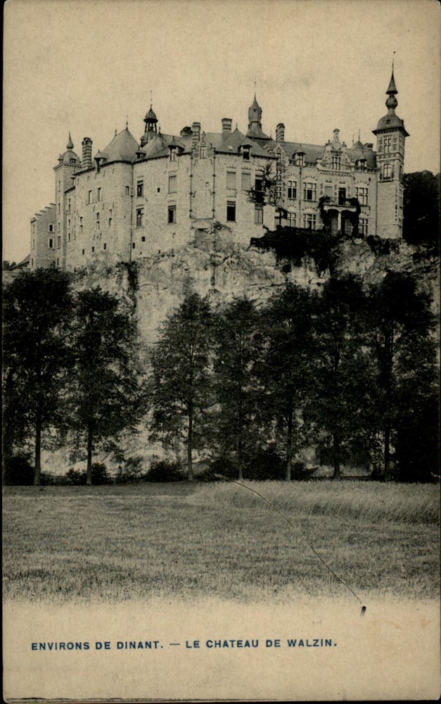 Chateau de Walzin Dinant Belgium vintage postcard s051