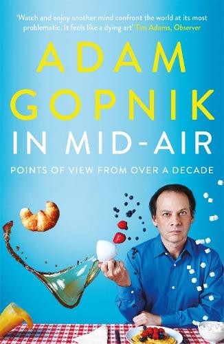 In Mid-Air: Points of View from over a D... by Gopnik, Adam Paperback / softbackFREE US DELIVERY | ISBN: 1786489244 | Quality Books