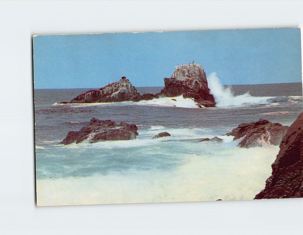 Postcard Seal And Bird Rocks Laguna Beach California USA