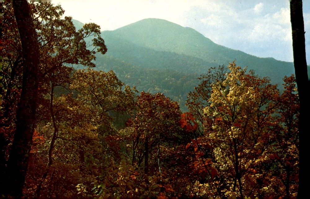 Fall Color Scene of Mt. Pisgah, Western North Carolina Postcard