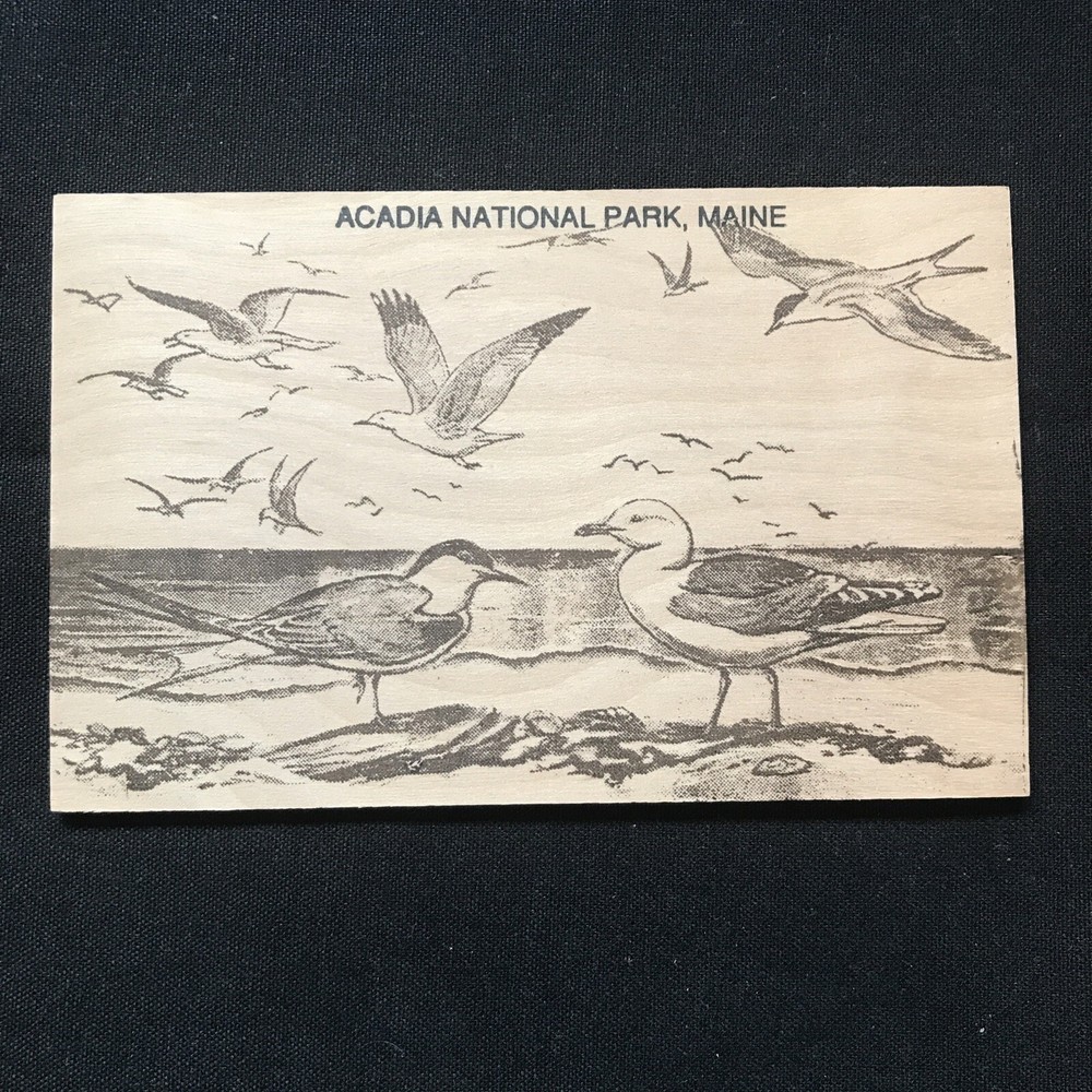 ￼ Wooden postcard Maine Acadia national park unposted￼-image