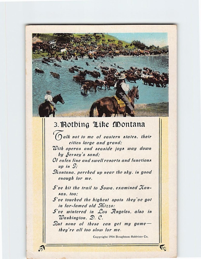 Postcard Horses Cattle Crossing the River Nothing Like Montana Poem Montana USA