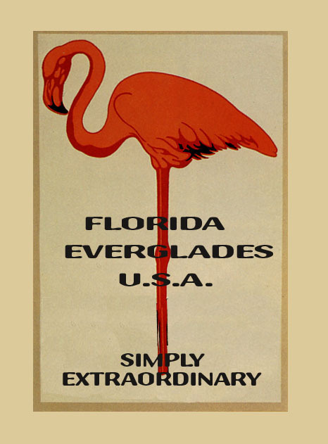 Red Flamingo Florida Everglades USA 12x16 Tourism Vintage Poster Repro FREE S/H