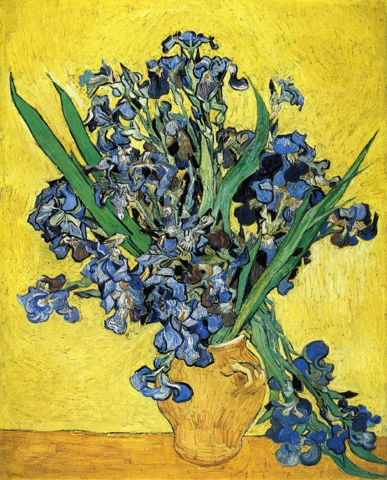 Vincent Van Gogh Framed Canvas Art Still Life with Irises 24x16 Inch Floral Decor