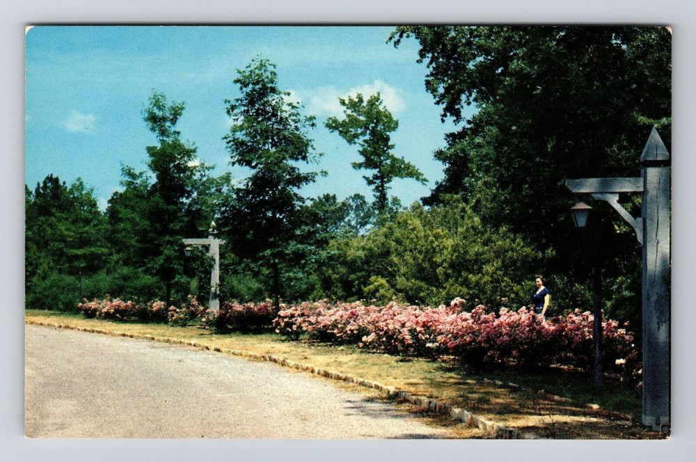 Columbus GA-Georgia, Ida Cason Callaway Gardens, Vintage Postcard