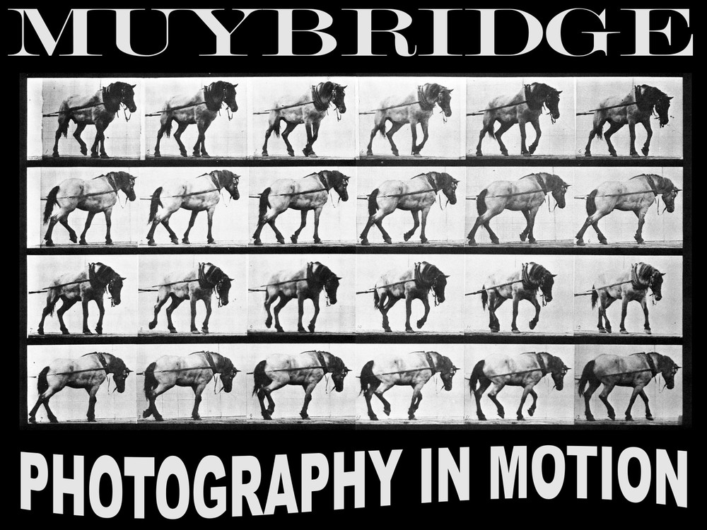 11510.Decorative Poster.Wall art decor.Muybridge photography.Horse.Equine